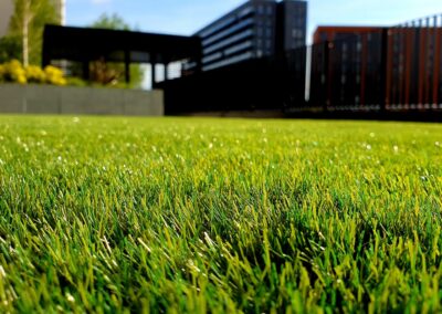 Selecting Turfgrass for Your Baton Rouge Commercial Property