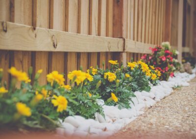 Low Maintenance Landscaping Ideas for Baton Rouge