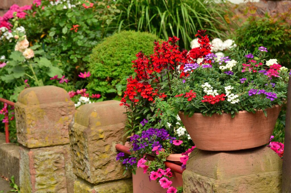 Guide to Container Planting in Your Baton Rouge Landscape Leeson