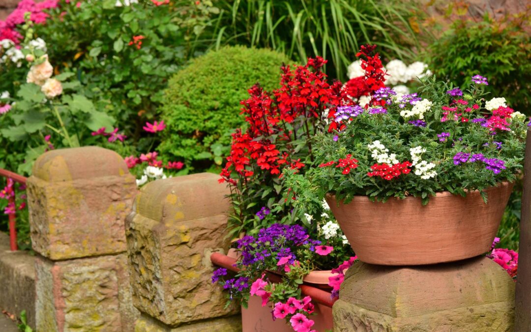 Guide to Container Planting in Your Baton Rouge Landscape